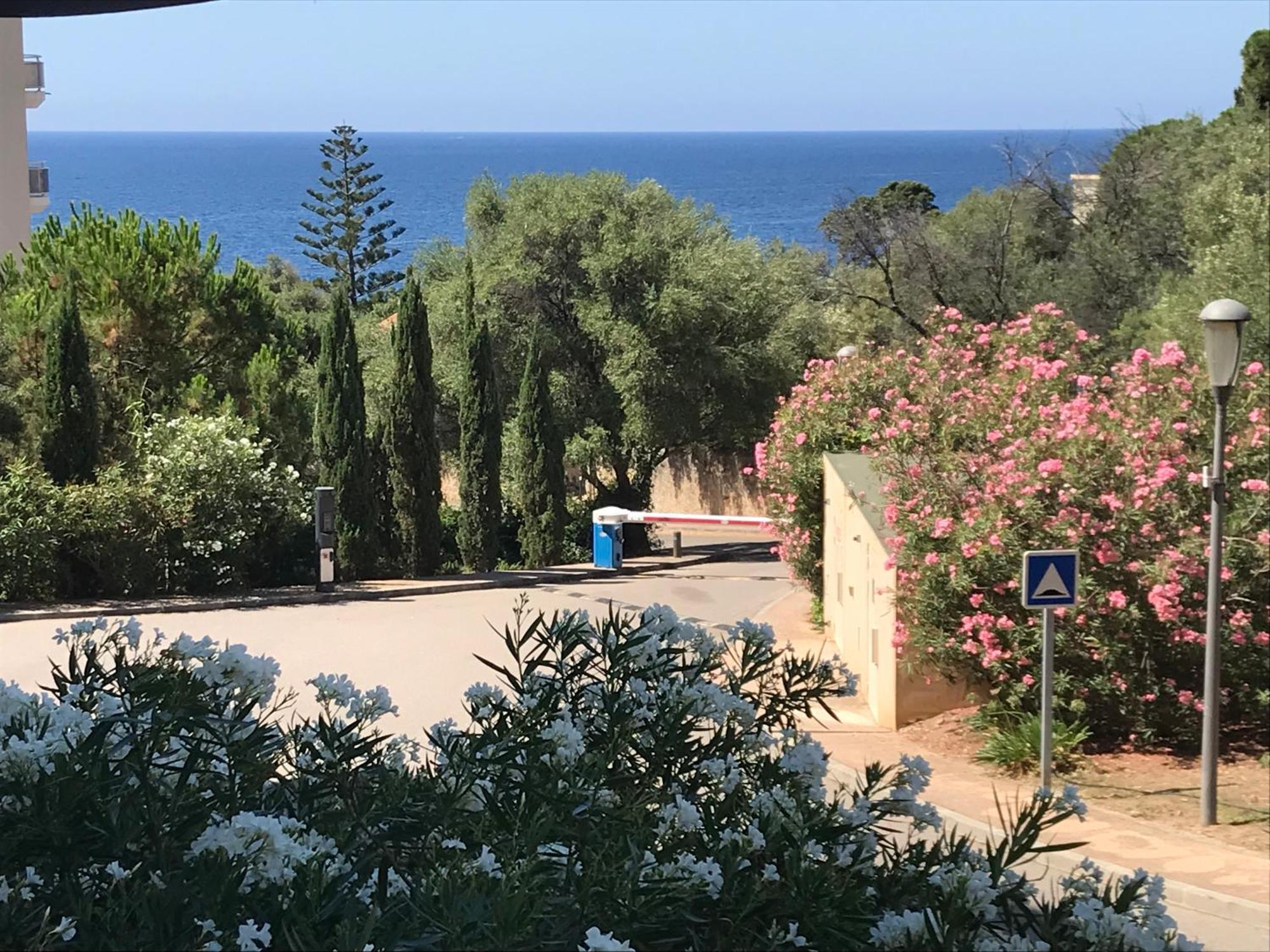 Entre Terre Et Appartement Ajaccio (Corsica)